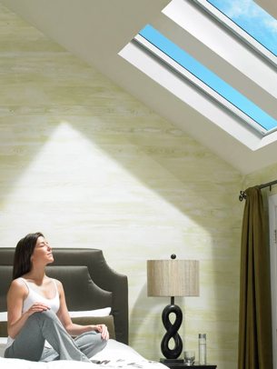 Velux Skylight Windows